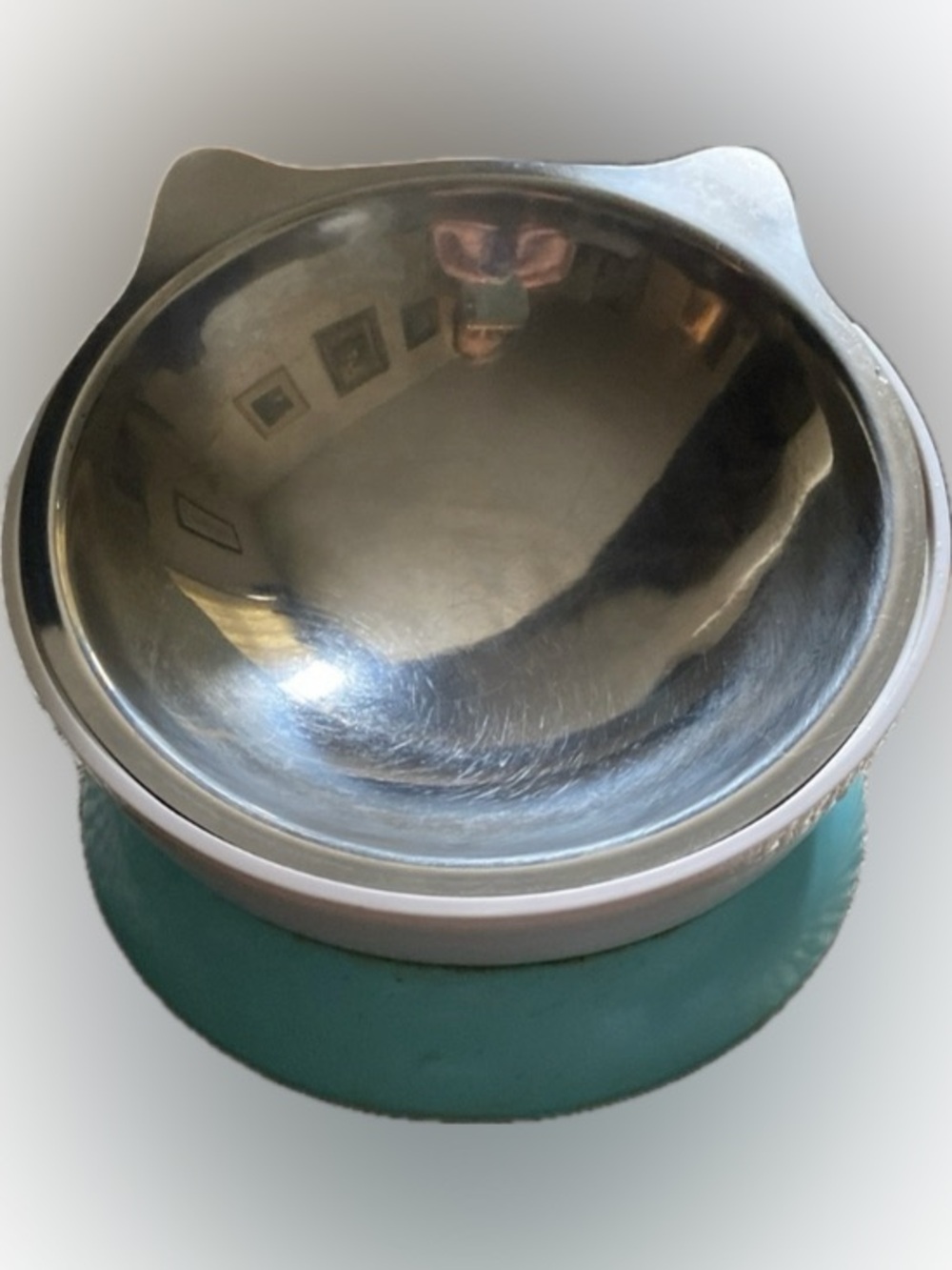 Stainless Steel Cat Ear Removable Bowl w/ Elevated Blue Base, Skid proof Design